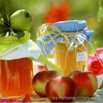 Máquina de fabricación de frutas para frutas de puré de piña de arándanos